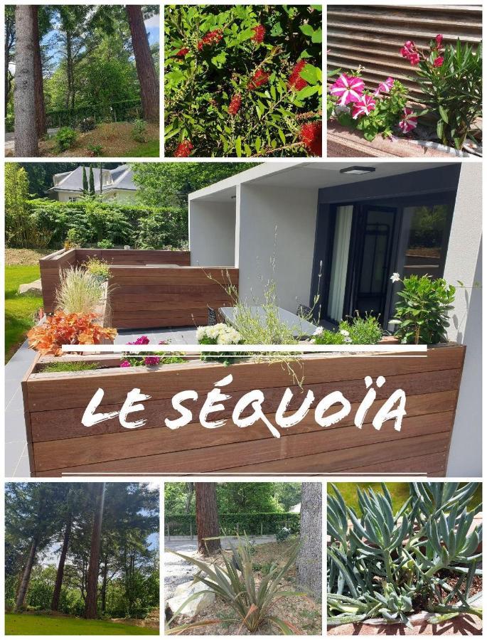 Appartement Le séquoia à Saint-Sébastien-sur-Loire Extérieur photo